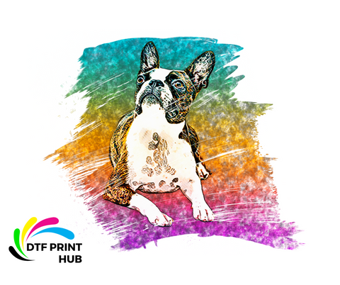 FRENCH BULLDOG