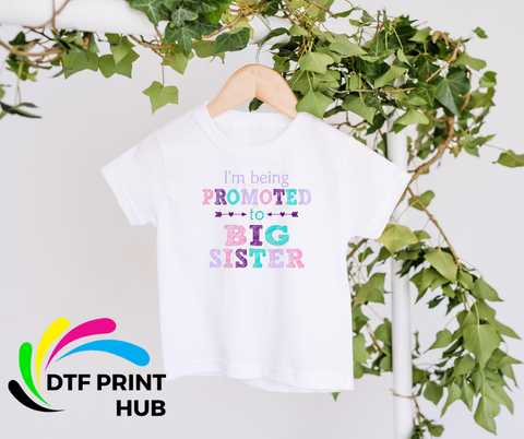 Being Promoted to Big Sister or Brother